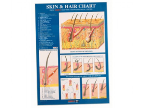 Sterex Skin Chart